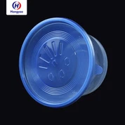 Einweg-Plastikschüsseln